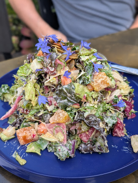 Photo of Satellite SB