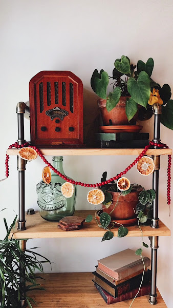 Photo of The Hobbyist