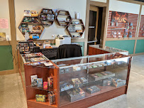 Photo of The Dragon and Meeple