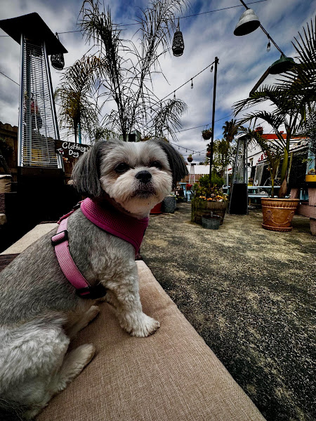 Photo of Santa Barbara Wine Therapy