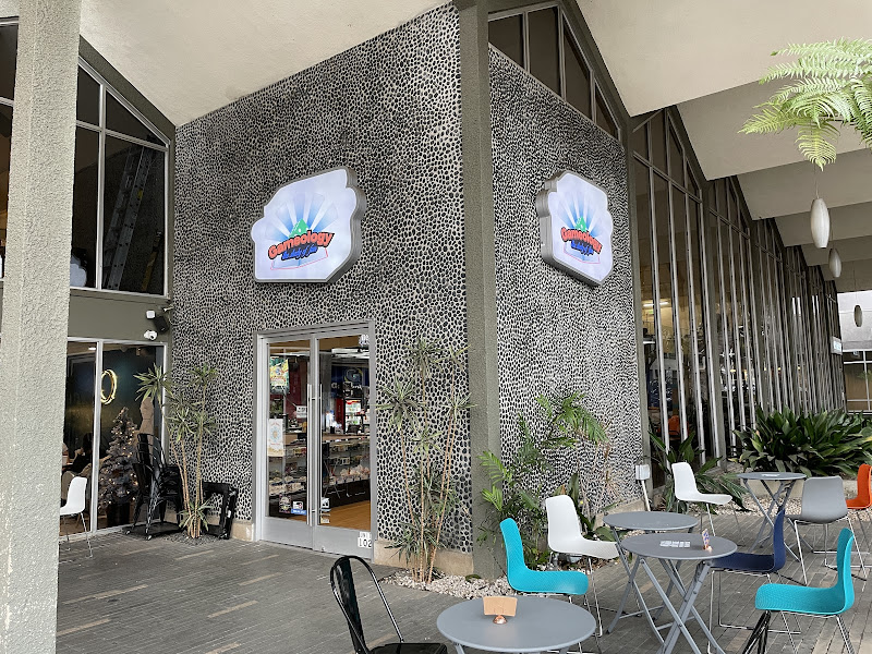 Photo of Games At My Place