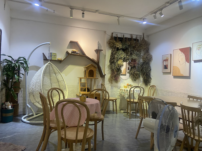 Photo of Oleoleo Coffee & Cats