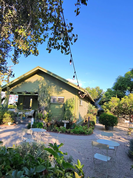 Photo of The Funk Zone