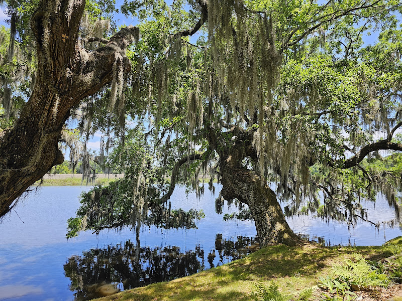 Photo of Magnolia Plantation and Gardens