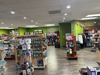 Photo of Geeky Teas & Games