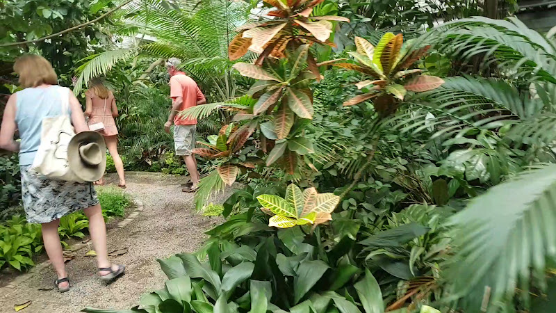 Photo of Magnolia Plantation and Gardens