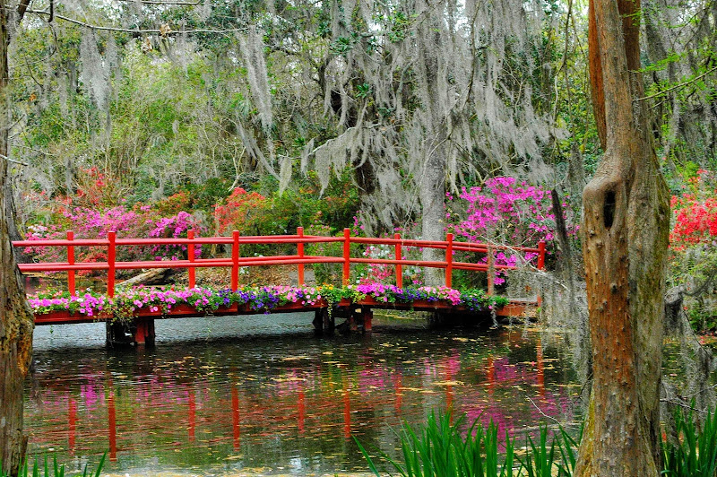 Photo of Magnolia Plantation and Gardens